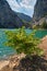 View from Shkopet Lake - reservoir shore. Lake Ulza Nature Park, Diber County, Balkan mountains, Albania, Europe