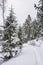 View of the shore of The Lake Vittrask in winter, path in the snow and forest, Kirkkonummi, Finland