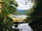 A view from the shore in Roscoe Bay, in Desolation Sound, Britis