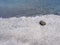 View of the shoreline from above, white waves, beach sand, clear water and rocks. Panoramic view