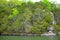 View of shoreline with rocks and trees