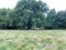 A view of the Shropshire Countryside