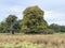 A view of the Shropshire Countryside