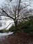 A view of the Shropshire Countryside near Hawkstone