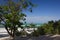 View through shrubbery towards the sea and a white sand beach