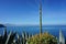 View of the Sicilian coast, Italy