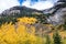 A view from the side of the Bow Valley Parkway, Banff National P