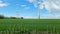 View from the side window of a moving car of a large wind farm on meadows