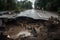 view of sinkhole surrounded by fallen trees and damaged roads