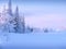 View from the ski slope of the snowy trees, snowdrift of snow in the form of a bear and mountains in the fog in the early morning