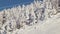 View of skiers on ski lift with snow covered trees, chairlift above ski slope