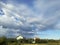 View of the sky above the orchard