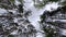 View of the sky from the level of the grass in the forest. Floating clouds against the background of treetops.