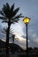 View of sky, palm trees and street lamp