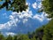 View of the sky and the sun`s rays through the treetops in the Ucka Nature Park, Croatia - Pogled prema nebu i sunÄevim zrakama