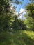 View of the sky and the sun`s rays through the treetops in the Ucka Nature Park, Croatia - Pogled prema nebu i sunÄevim zrakama