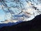 View of the sky and sun through the trees in the alpine forests on the slopes of the Sevelerberg and Werdenberg mountains, Sevelen