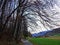 View of the sky and sun through the trees in the alpine forests on the slopes of the Sevelerberg and Werdenberg mountains, Sevelen