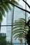 View of skyscrapers through the window of The Sky Garden at 20 Fenchurch Street building