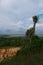 View of slanted cactus against cloudy sky near Barra do Kwanza estuary