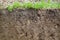 View of slice of soil with roots and grass from above