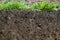 view of slice of soil with roots and grass from above