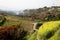 The view of the slope in the mountains near Shanghai in the spring