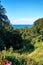 View from the slope to the Baltic Sea. In Lohme on the island of RÃ¼gen