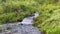 View of a small beautiful waterfall in a green forest. Amazing summer forest stream