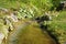 View of a small creek with a clear flowing water