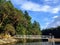 The view of a small dock and ramp leading to the shore of a beautiful island full of Arbutus trees.