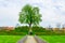 View of a small hill situated in the Kvetna zahrada garden in Kromeriz with a tree in the center....