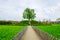 View of a small hill situated in the Kvetna zahrada garden in Kromeriz with a tree in the center....IMAGE