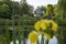 View of a small house behind this pond with reeds, blooming water lilies, yellow iris and many other water plants in a beautiful g