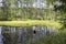 View of a small idyllic pond in a Swedish forest