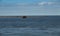 View of Small Island from the Hatteras to Ocracoke Ferry