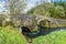 A view of the small and large arch of the Gelli bridge, in Wales