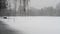 View of small pond during very heavy snowfall.