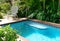 View of a small pool in a tropical setting.