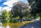 A view of a small shallow pond in the centre of Duthie Park, Aberdeen