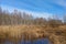 View of a small swamp in autumn