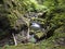 View of small water stream with moss covered stones, fern and tropical plants at Levada Do Rei PR18 hike, from Sao Jorge