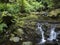 View of small waterfall, cascade at stream with moss covered stones, fern and tropical plants at Levada Do Rei PR18 hike