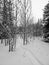 View of a small winter trail in the Canadian forest