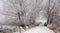 View at a small wooden bridge in winter