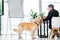 View of smiling businessman sitting at table and stroking golden retriever sitting on floor