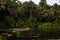 View of smooth and silky flow of water in Bharathappuzha River also known as Nila or Ponnani River, Pollachi, Tamil Nadu, India