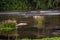 View of smooth and silky flow of water in Bharathappuzha River also known as Nila or Ponnani River, Pollachi, Tamil Nadu, India