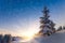 View of snow-covered conifer trees and snow flakes at sunrise. Merry Christmas\'s or New Year\'s background.