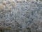 View of snow covered forest with hoarfrost covered trees in bright sunlight